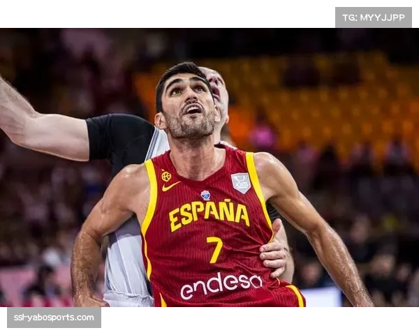 灰熊防守轮转考验 阿尔达马手术影响四号位深度